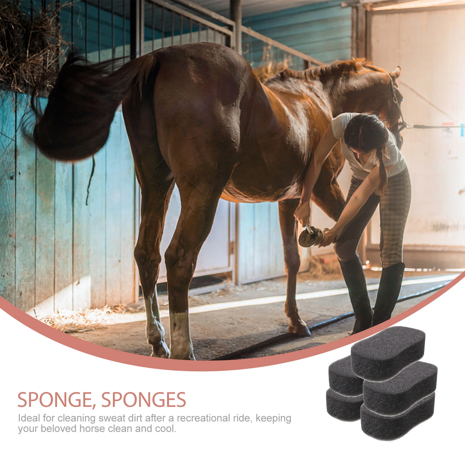 5Pcs Large Bathroom Cleaner For Sponge Cleaning Horse Removing Accessories Sponge For Kitchen Sponges Horse Sponge Brush 5