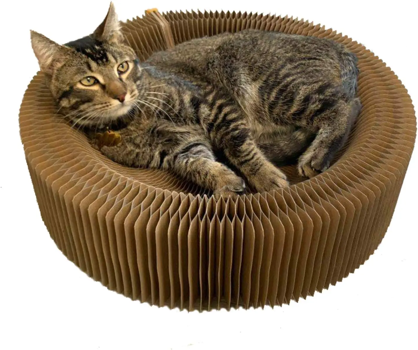 

Pet Cat Scratcher Lounge Bed, Collapsible Round Shape, Big Cat