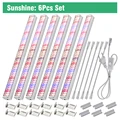 Sunshine 6Pcs