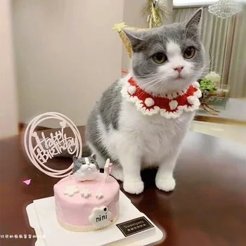 Cute Cartoon Princess Cat Scarf Dog Bib with Woolen Collar & Floral Dog Drool Towel Bundle Dog Accessories