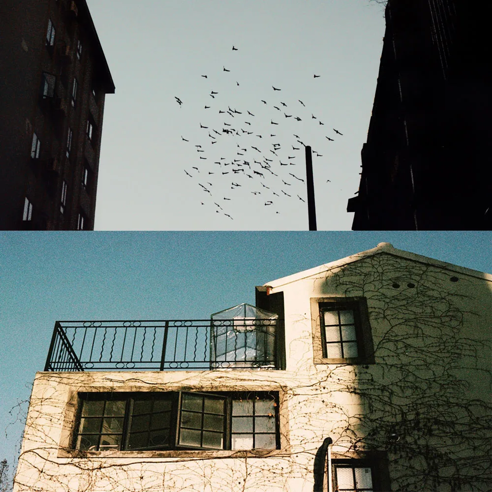 135 Film Shenguang FILM 400 COLOR C41 FILM Retro Warm Scenery Portrait 36 Sheets With DX Code For Kodak Fujifilm Camera