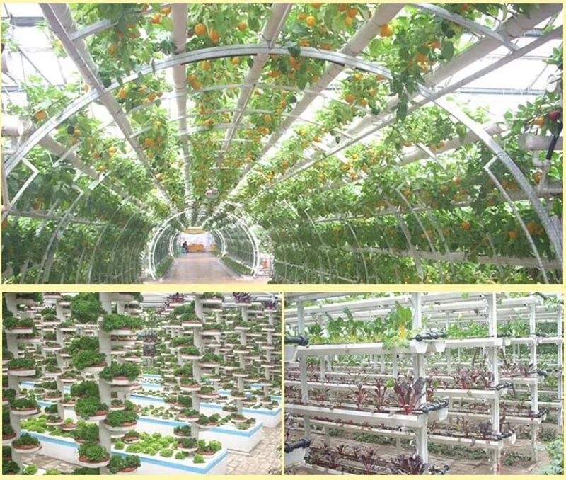 50Pcs Plant Grow Pots Net Nursery Cup Hydroponic colonization Mesh plastic Basket holder vegetable Planter Soilless greenhouse T 3