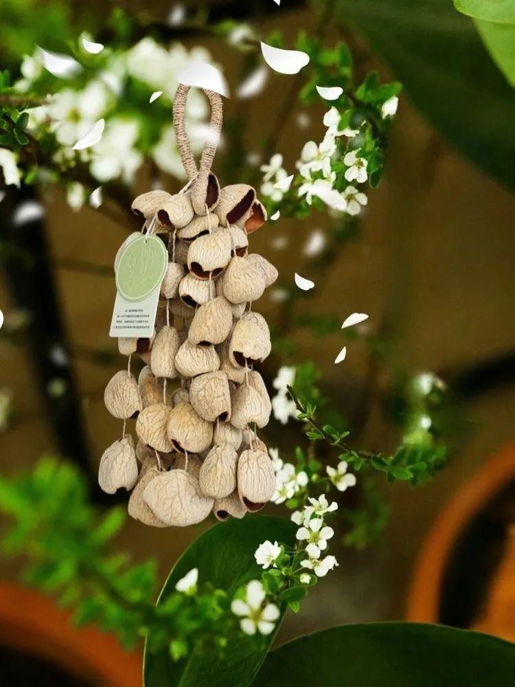 Nutshell Bell Hand Bell Meditation Sound Healing Handbell Natural Plant Indonesian Music Accompaniment Sound Therapy Instrument
