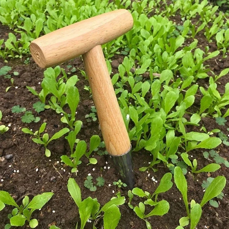 Hand Sow Dibbler With Wood Handle For Sowing Seeds Transplanting Plants Planting Bulbs Digging Gardening Garden Hole Punch Tool