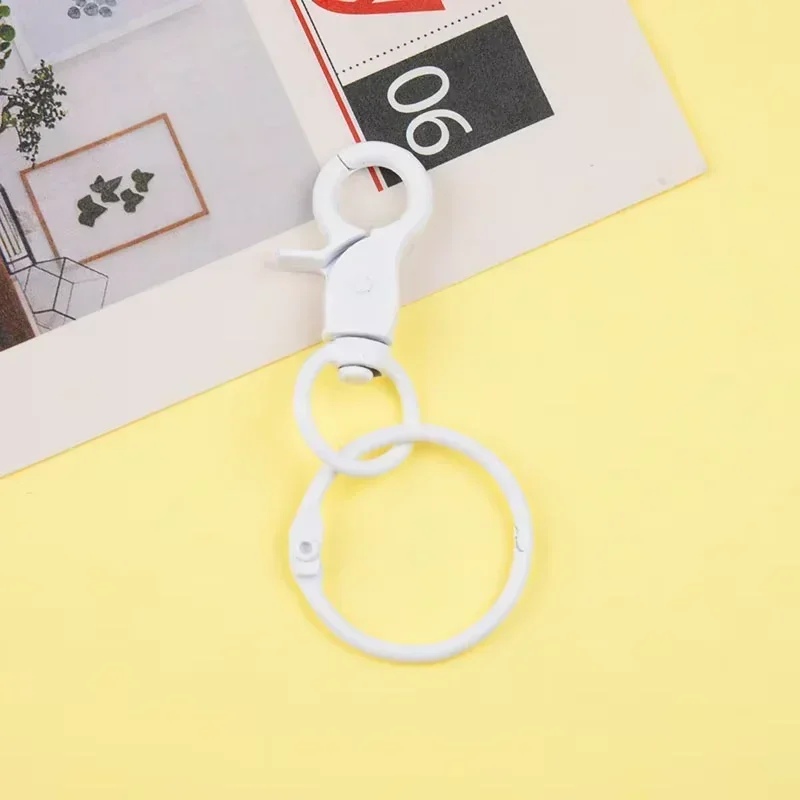 Vibrant Clear Protective Organizer Box with Keychain