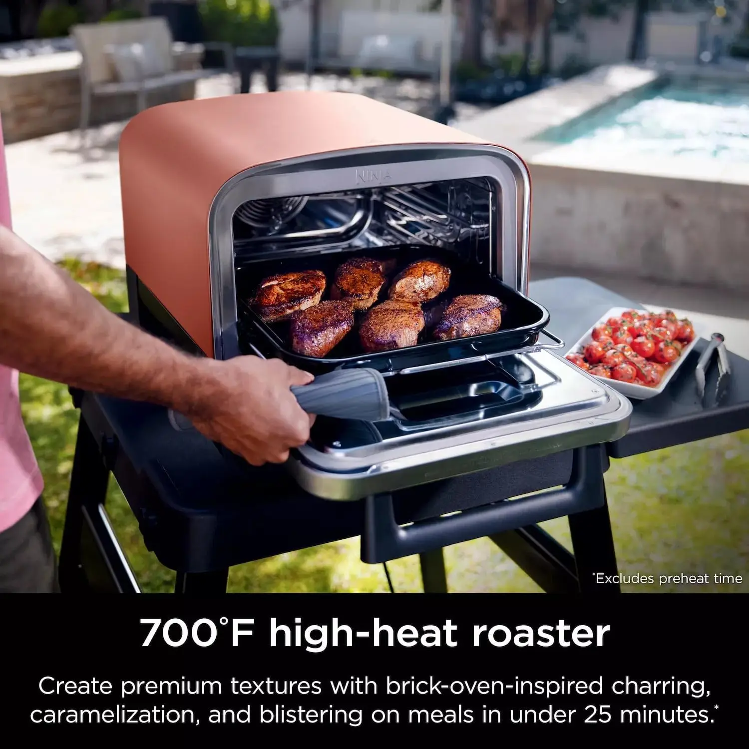Woodfire Outdoor Pizza Oven 5