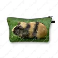 Shzbgpigx04cw