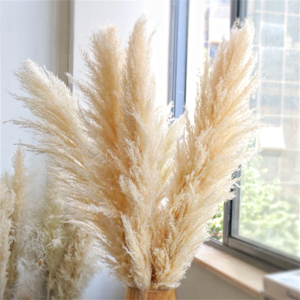 Dried Flower Bouquets 80-120cm Tall Pampas Grass Fluffy Large Natural Dried Flowers Bouquet Boho Home Decor Gift Country Wedding Flowers Decorations