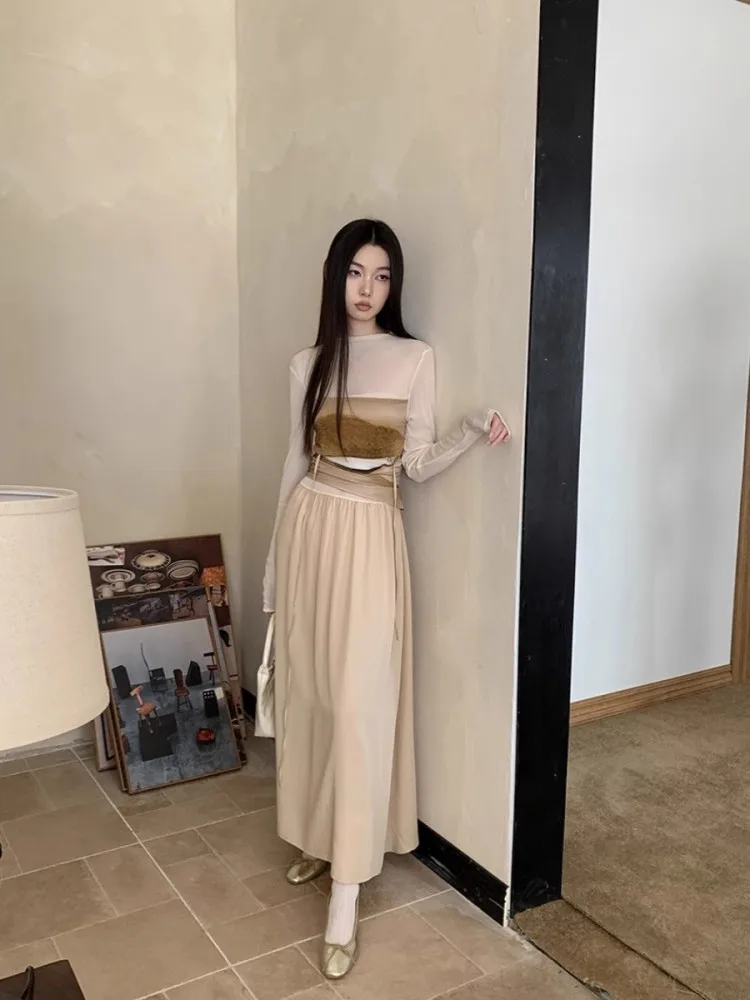 

Design Sense Contrasting Color Patchwork Dress For Women'S Spring And Autumn Half High Neckline Pleated Temperament Long Skirt