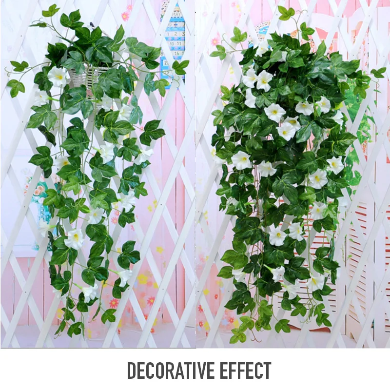 7531262745_1221198793