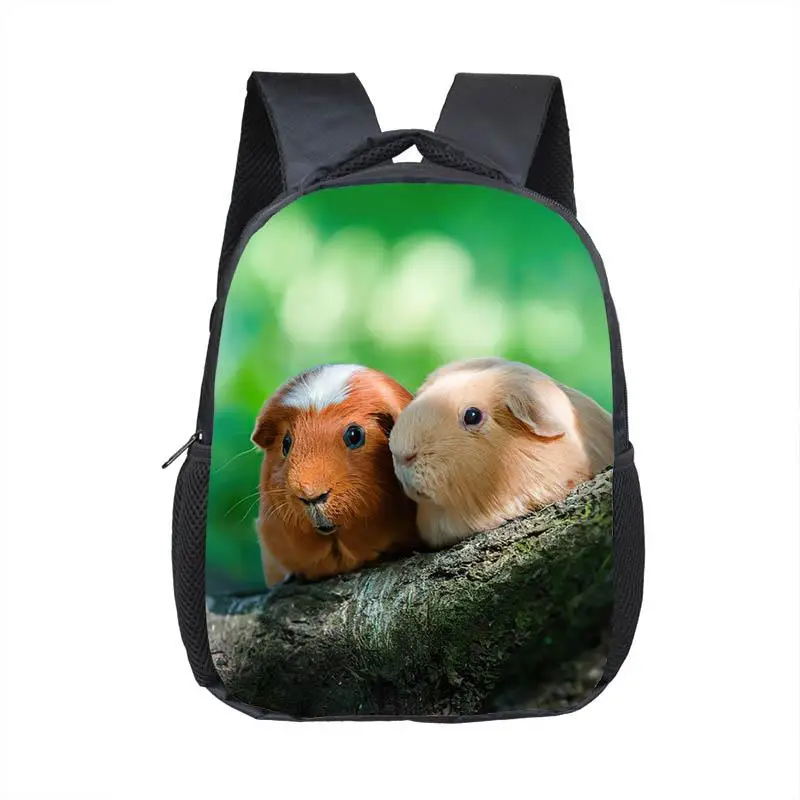 

Cute Guinea Pig Backpacks for 3-6 Years Old Kids Mammal Cavy Children School Bags 16 Inch Big Toddler Bookbag Beautiful Gift