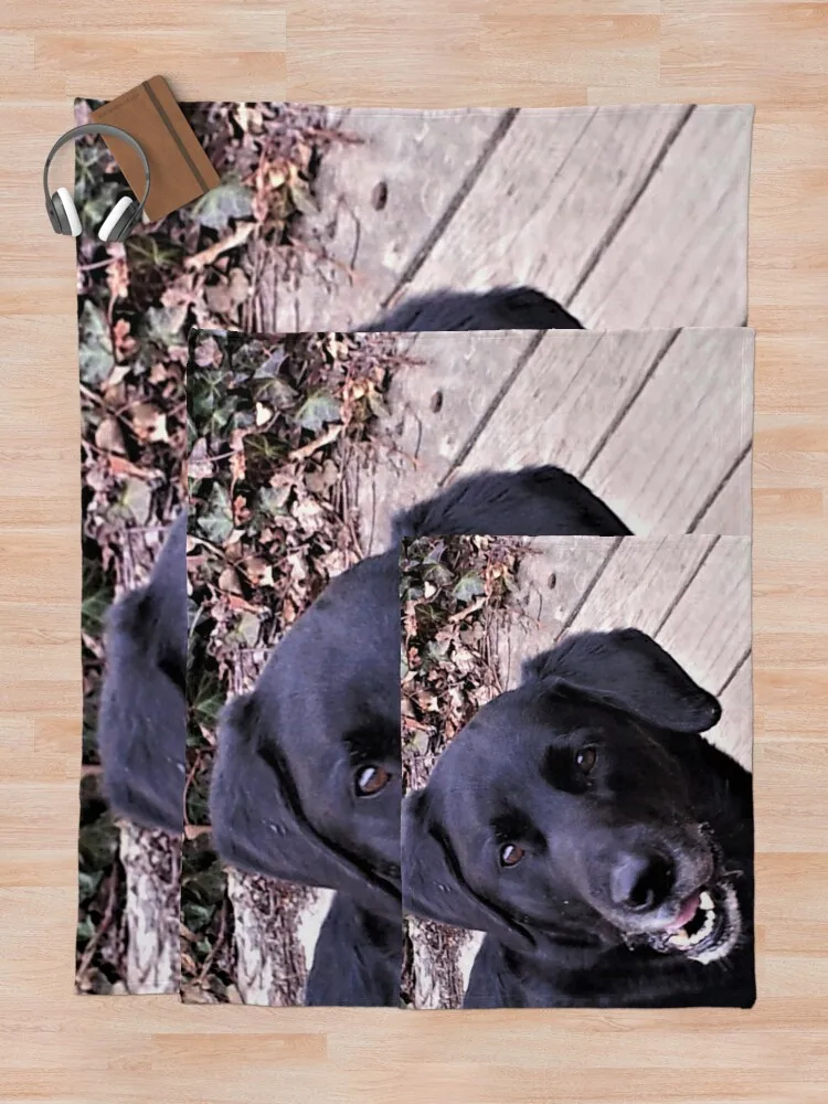 ���� ��ħ ��� �� ��� ������, �Ƹ��ٿ� ���