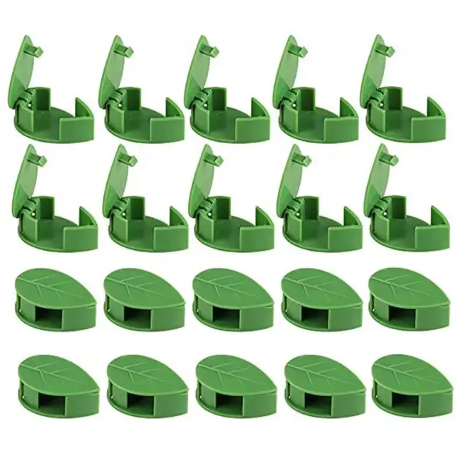 10Pcs