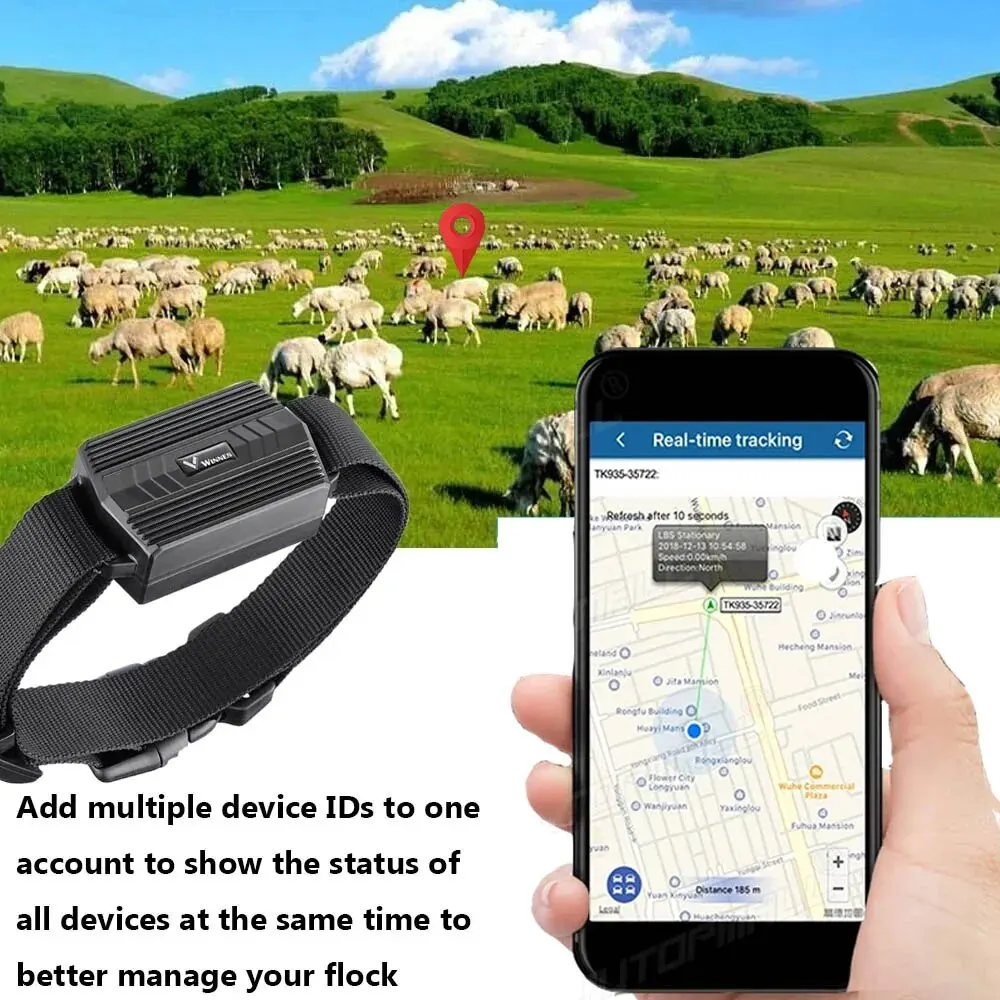 GPS 트래커 동물용 (소, 낙타, 양) TK935 3000mAh 위치추적기 방수 실시간 차량용 자석 무료 웹 앱 PK TK905