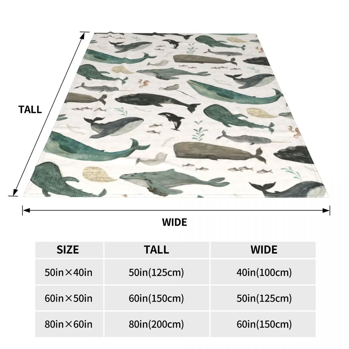 ���� �뷡 ���, Orcas and Narwhals Aquarelle ������ �ö���, ����ִ� ������ ������ ���, ħ�� ����, ����