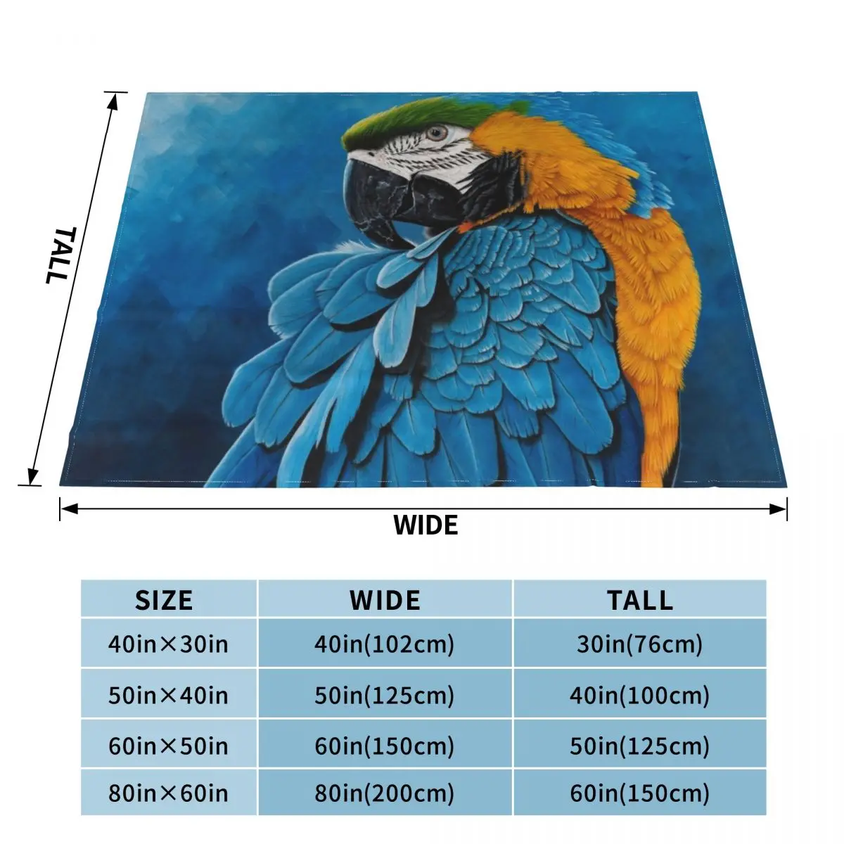 �� ���� ���, ���� �� ��� ���� �ʻ�ȭ ������ ���