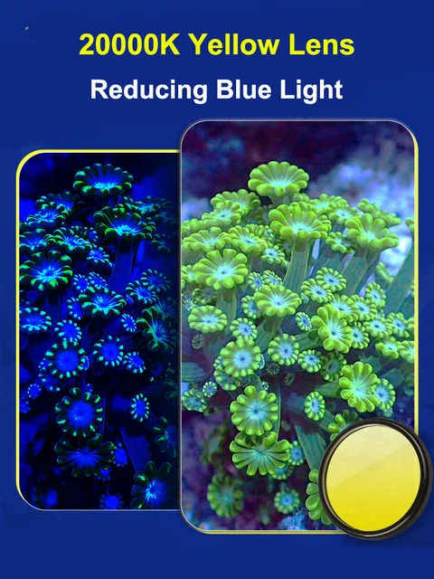 Handy Kamera Objektivfilter Für Aquarium - Makro Filter Für Korallenfotos