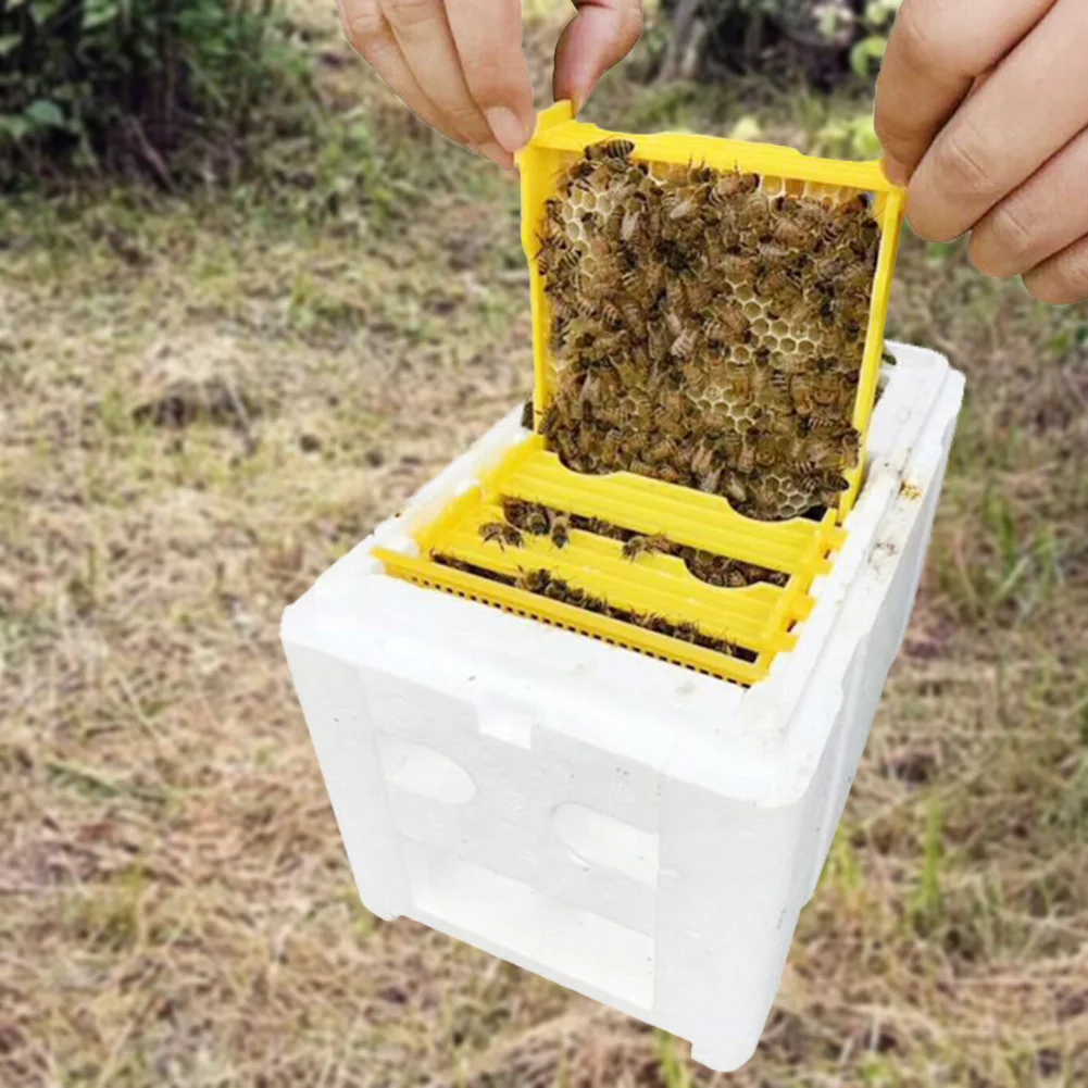 Foam Bee Box Versatile Queen Bee Breeding Box Bee Pollination Box Queen Bee Rearing Beehive for Bee Mating Rearing