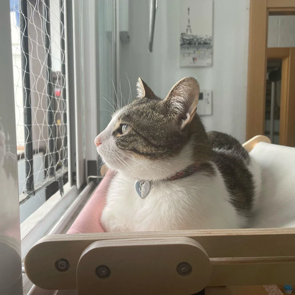 

Многослойная фанера, легко моющаяся, для кошек, окуня, горячая Распродажа, гамак, деревянная сборка, прочный хлопчатобумажный холст