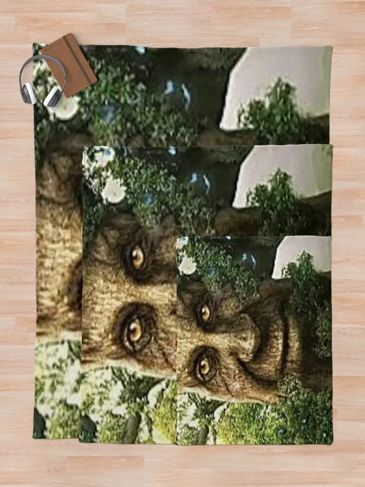 Wise Mystical    ħ Ŀ, Ÿ 귣 ̱ ,   