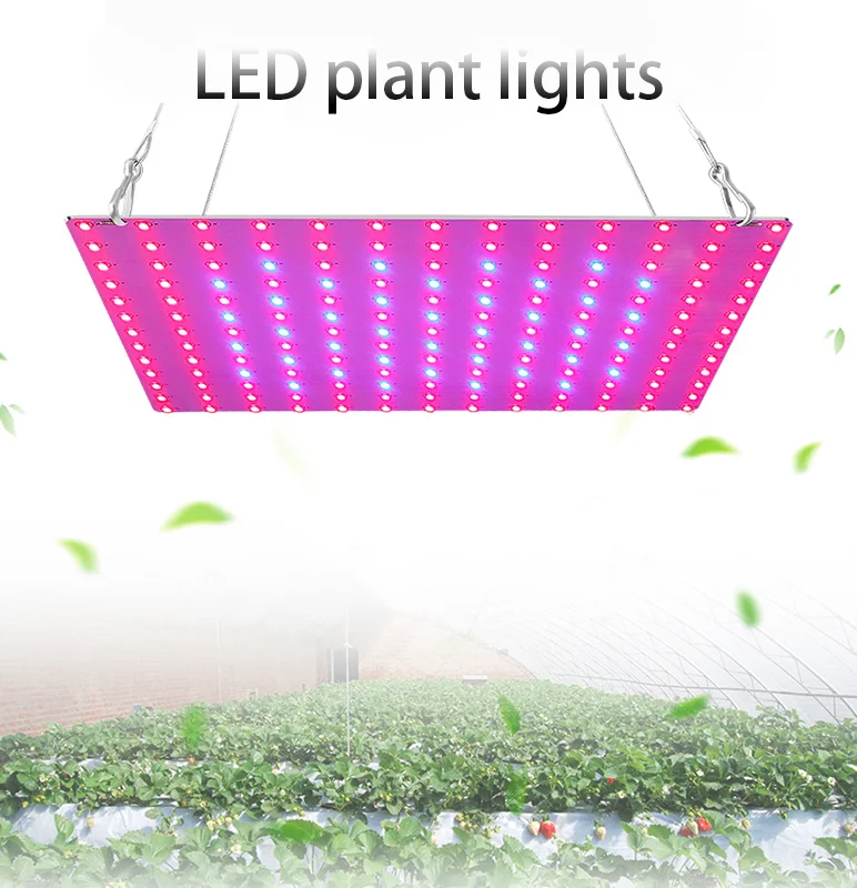 LED Grow Light 1000W/2000W Full Spectrum Hydroponic Growing Lamp Indoor Ultrathin Panel