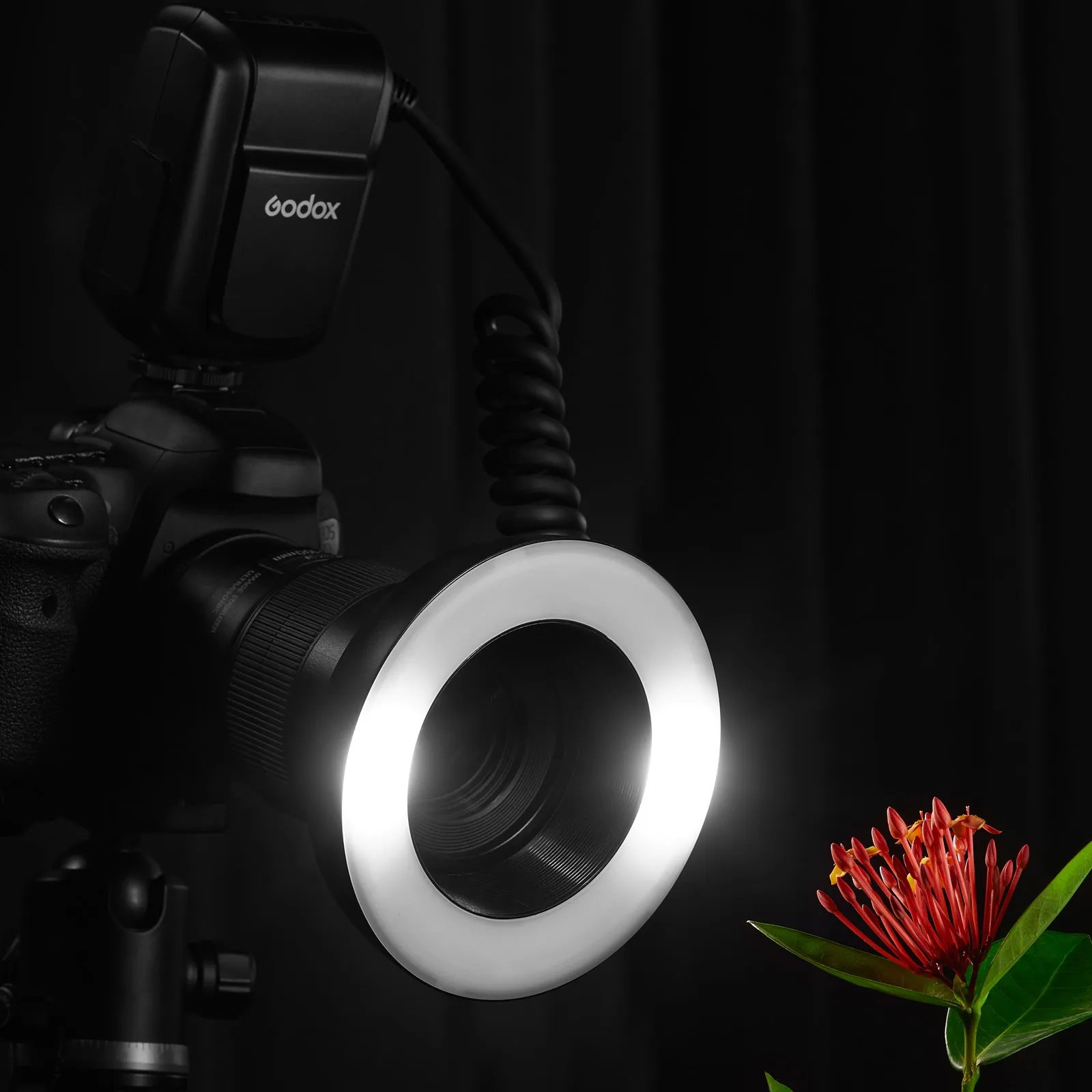 Godox MF-R76 RING76 5000K Macro LED anillo de luz Speedlite Flash para Sony Canon Nikon cámara 5D 6D 7D 60D 70D 80D D850 A7MIV - AliExpress