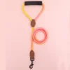 Pet dog leash, gradient color with comfortable padded handle, suitable for small and medium dogs outdoor use 3