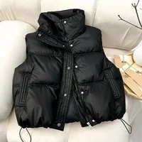 2025 New Women Winter Warm Waistcoat Ladies Sleeveless Stand Collar Coats Warm Outerwear Casual Lightweight Puffer Vest Jackets