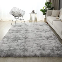 Thick Plush Carpets Living Room 1