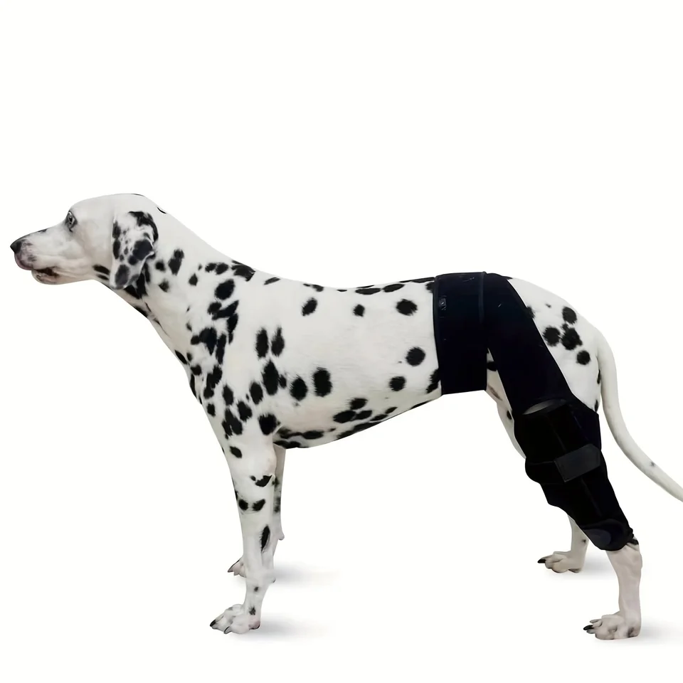 Adjustable Dog Knee Brace for ACL Support