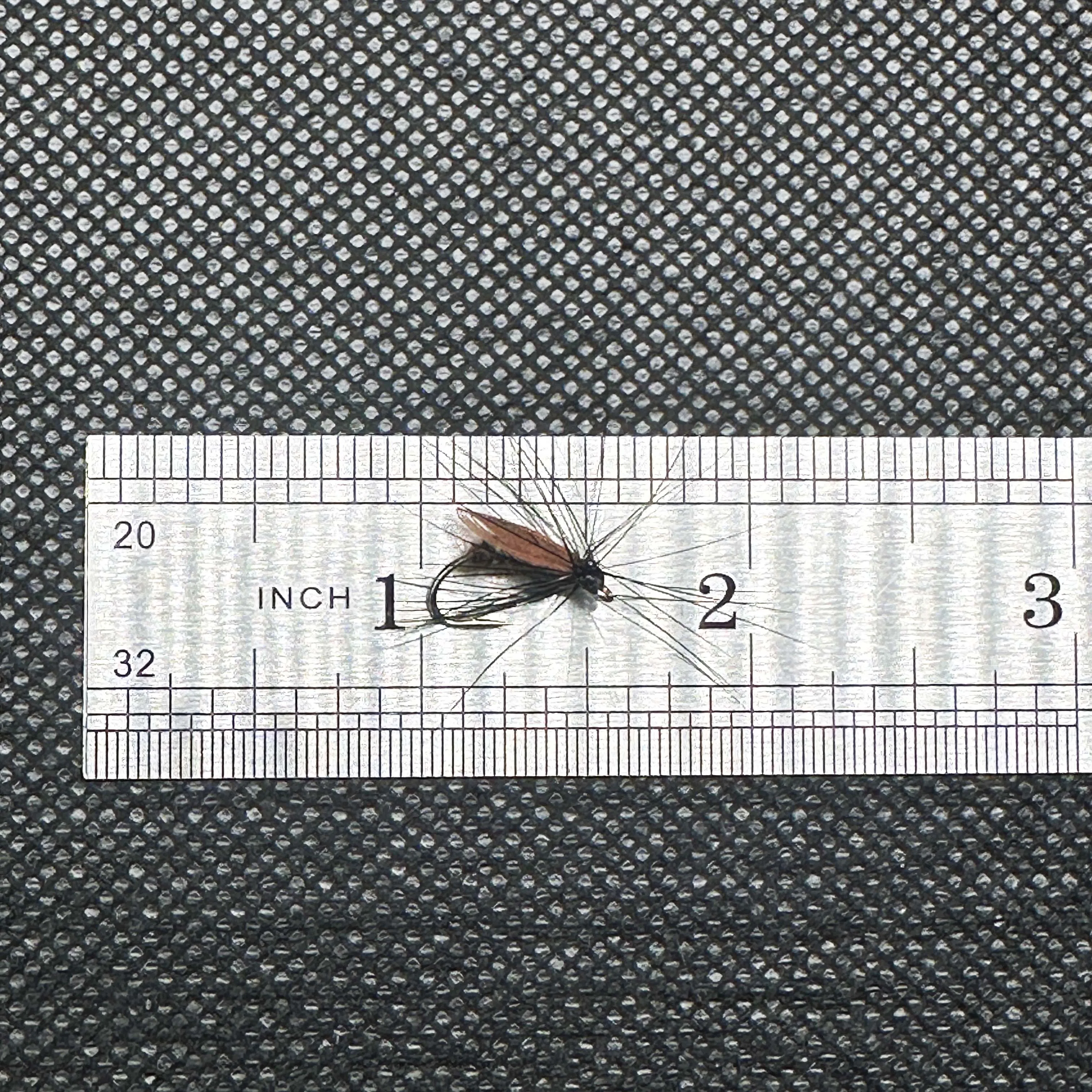 Description Picture 5 of item5/10Pcs Fly Fishing Lure Bait Trout Bionics Beetle Body Fly Fishing Flies Nymph Fishing For Bass Trout Salmon Insect Lure