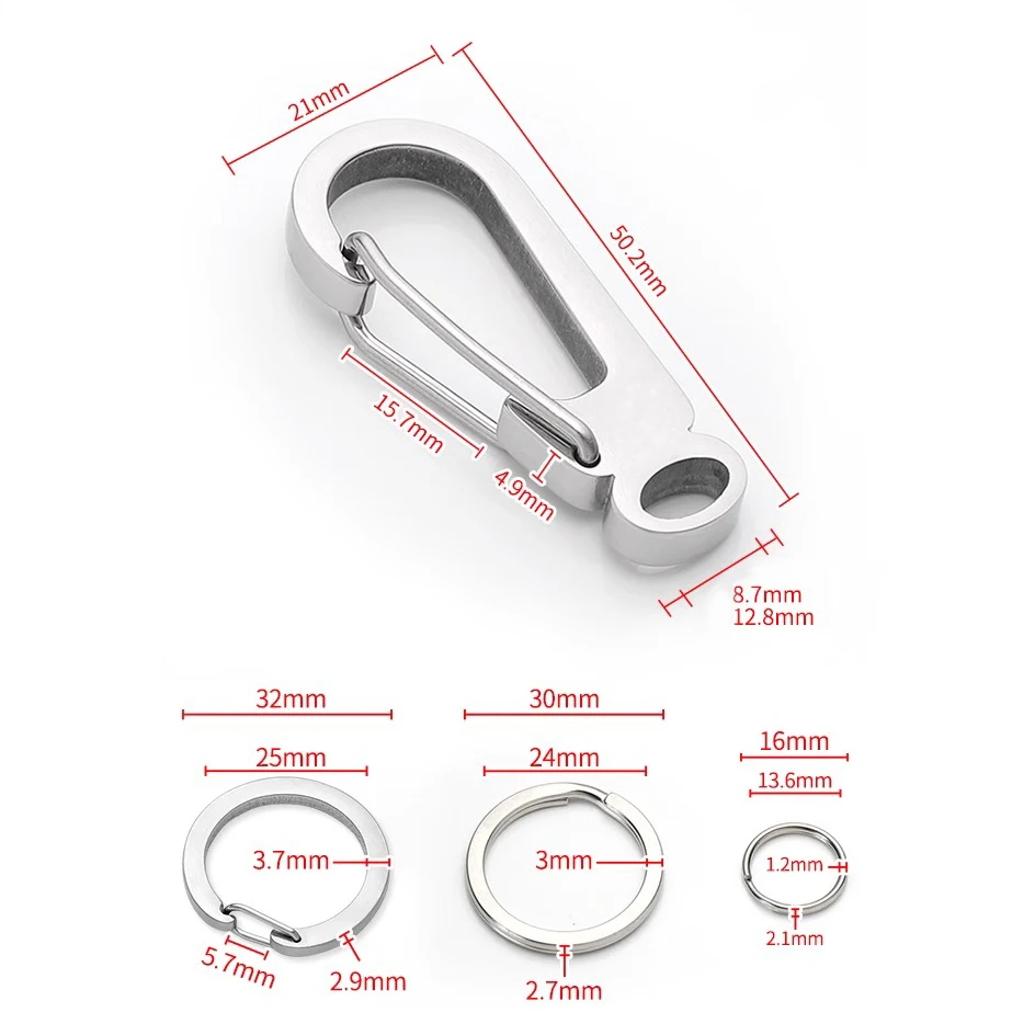 Polished Stainless Steel D-Ring Horseshoe Carabiner Keychain for Durable Key Organization