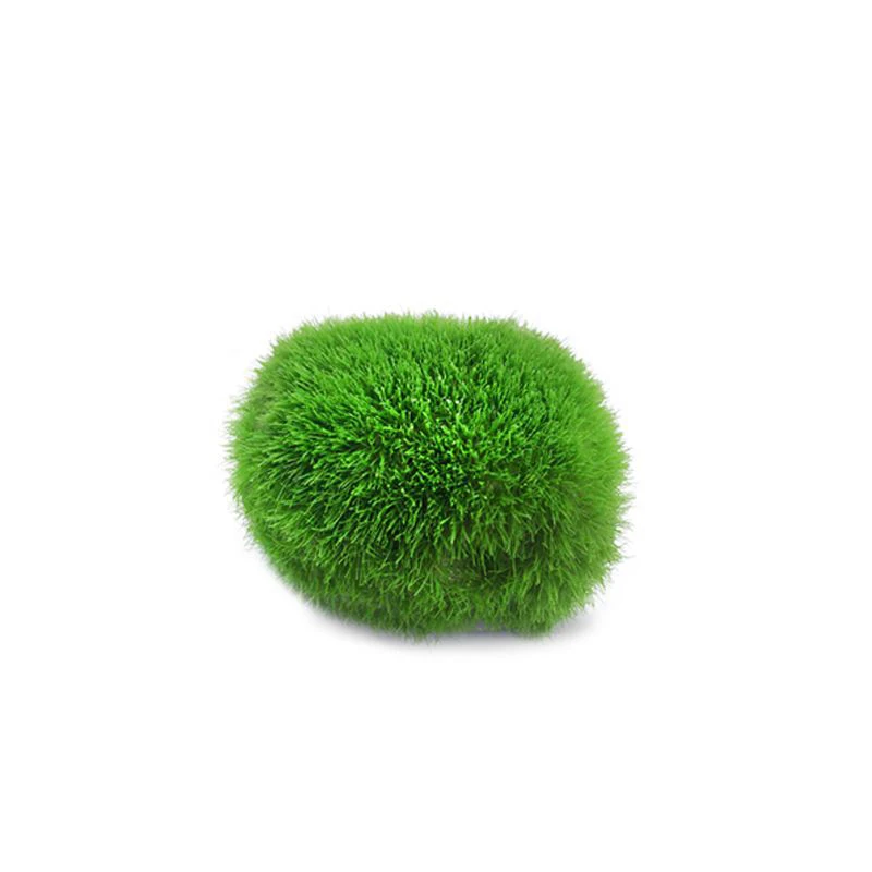 6pc Moss Balls, Decorative Balls | adamsbargainshop