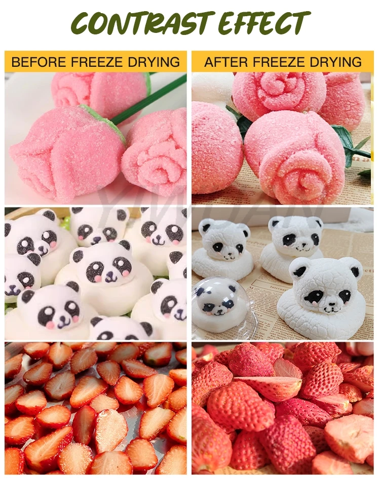 Lower Price hfd-9 Tray Space 0.9m2 Coffee Meat Milk Large Lyophilizer Freeze Dryer Machine For Sale