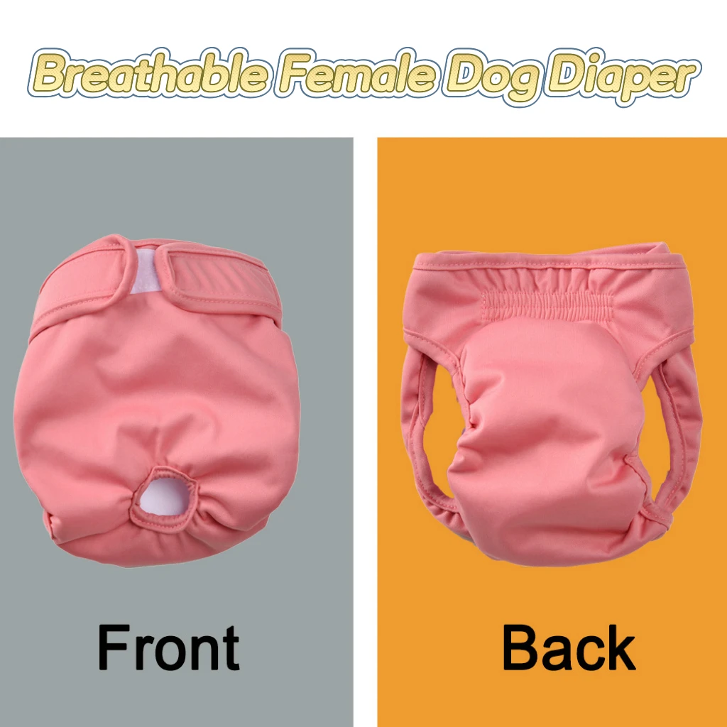 Pet Dog Diaper For Small Medium Dogs Cats Breathable Puppy Physiological Pants Reusable Dog Shorts XS-XL Chihuahua Pug Supplies