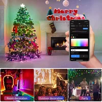 20M TUYA Led Fairy String Lights Music Sync 200LED WS2812B Copper Wire String Lights RGBIC Color Changing Segment Control Lights - Image 3