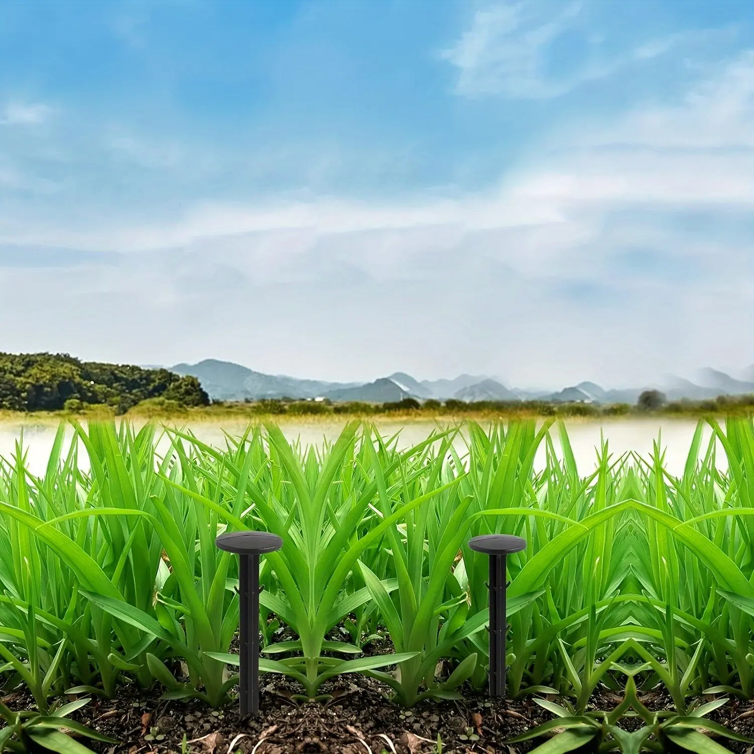 Description Picture 5 of item50pcs Garden Ground Nails Black Plastic Fixing Greenhouse Film Spike Weed Mat Insert Arc Peg Floor Cloth Stake Lawn