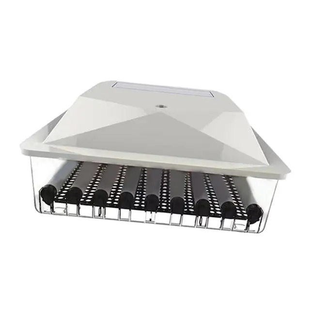 가정에서 알을 부화시키는 쉬운 방법: 가정용 계란 부화기 소개