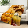 Cartoon G-Garfields Blanket Skin friendly comfort warm soft plush blanket suitable sofa living room office bedroom 5
