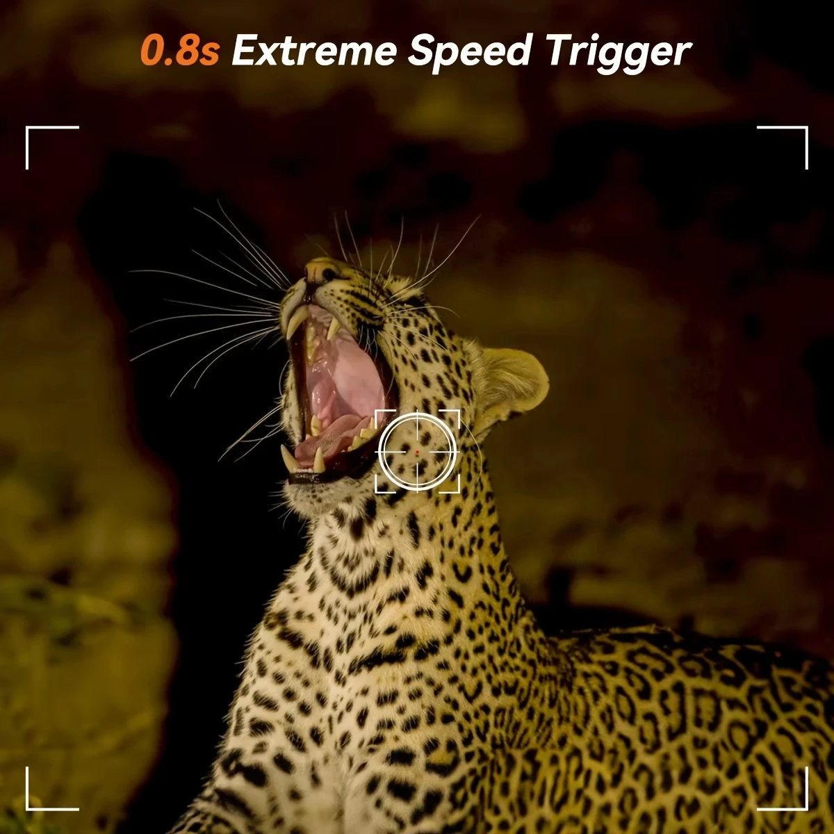 Hunting Trail Camera Professional 1080P Videos Ultra Clear Infrared Night Vision Outdoor Motion Activated Trail Game Cam Hunting