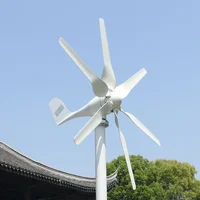 Éolienne à axe horizontal 1000W 1KW 12V 24V 48V, générateur éolien certifié CE, énergie gratuite, démarrage à basse vitesse, hors réseau pour usage domestique 6