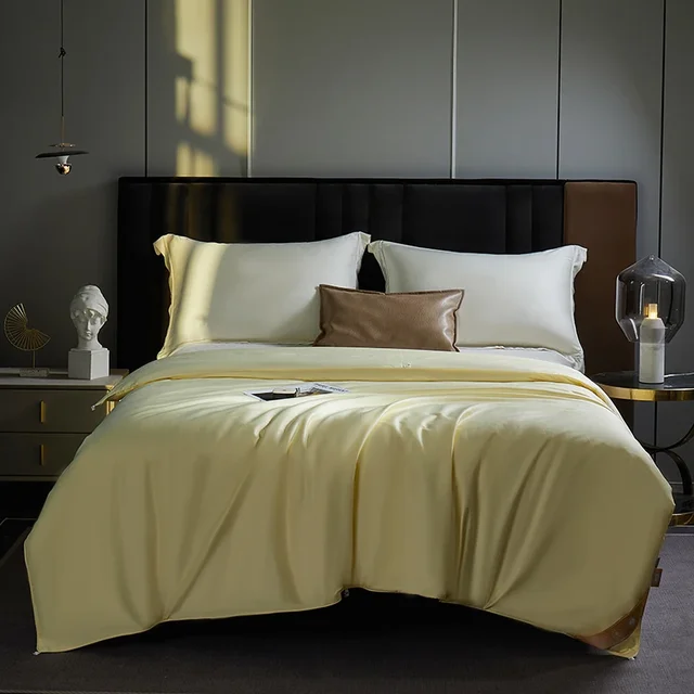 Couette d'été en soie 2025, très appréciée, remplissage en soie de mûrier, doux et respectueux de la peau, pleine taille, style moderne, récipient 2