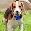 LED Pet Dog Cat Collar Pendant Portable Pet Safety Led Light USB Rechargeable Outdoor Night Walking Dog Collar Accessories 2