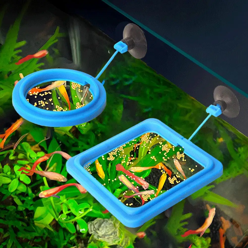 Anello Galleggiante per Alimentazione Acquario, Vassoio Alimentatore Quadrato/Circolare per Pesci, Accessori per Mangime con Ventosa