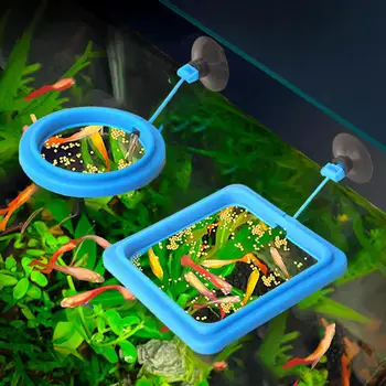 Anello Galleggiante per Alimentazione Acquario, Vassoio Alimentatore Quadrato/Circolare per Pesci, Accessori per Mangime con Ventosa