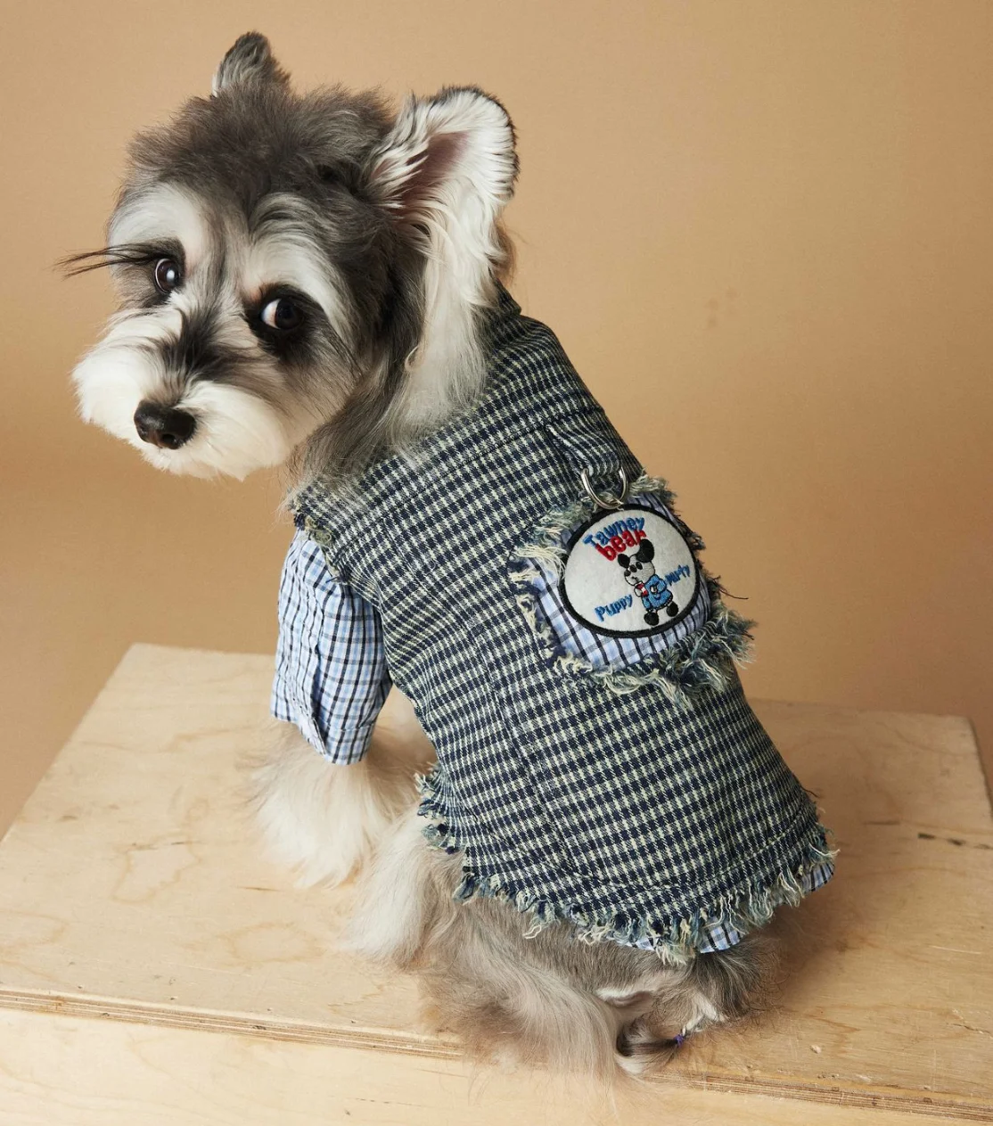 Sleeveless Cowboy Vest for Dogs, Tony Bears Dog Tank Top, Teddy, Schnauzer Bears, Marquis, Love, Spring, Summer, New