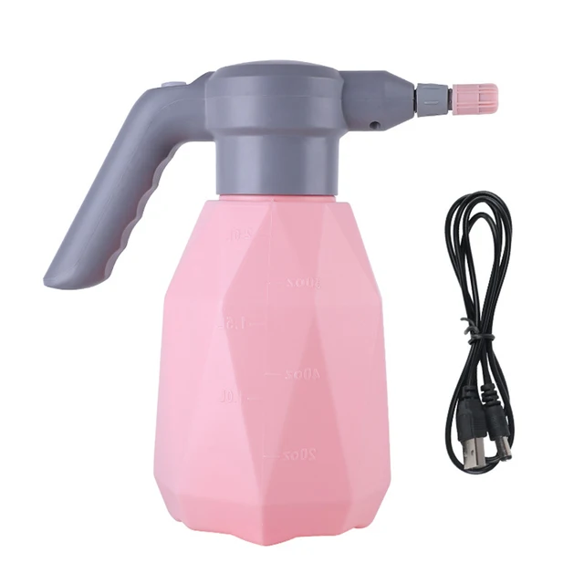 2L Pink