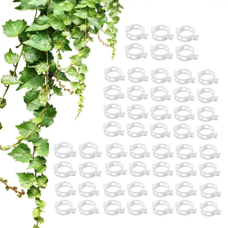 

Tomato Clips for Support Plant Support Vine Gardening Clips Grafting Fixing Tool Gardening Supplies for Vegetable TomatoPlastic