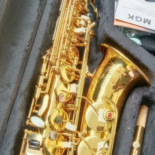 Professional Music Instruments Store