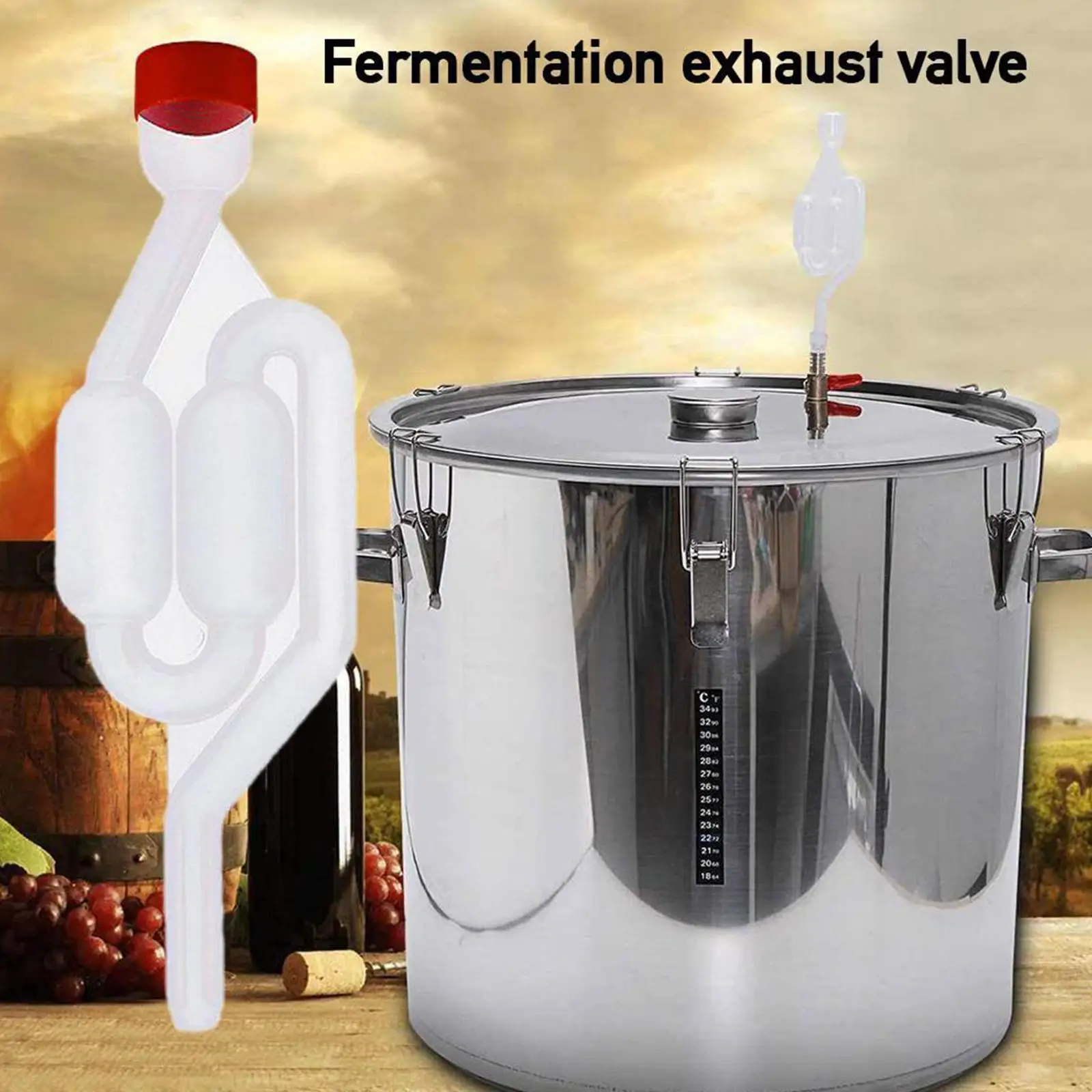 Fermentador De Vidrio Carboy 5 Galones – Ideal Para Vino Cerveza Kombucha